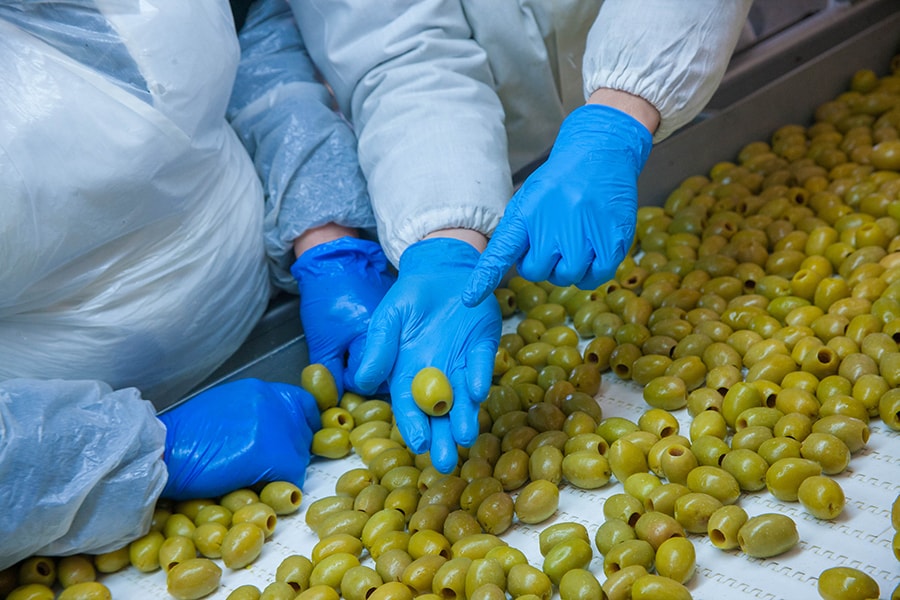 PVG Hellas – Trading greek olives with high quality assurance PVG Hellas - Trading greek olives with high quality assurance