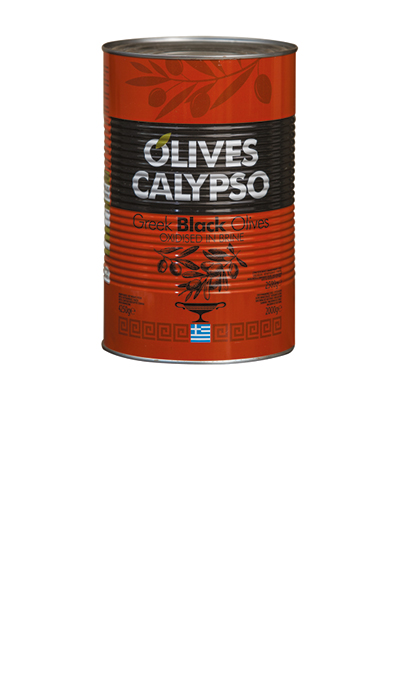 5lt tin PVG Hellas - Metallic packaging, 5lt tin